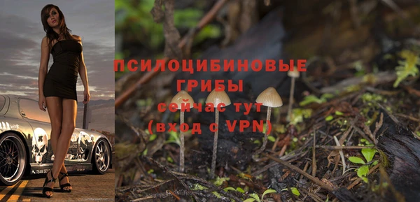 МДМА Арсеньев