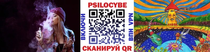 Галлюциногенные грибы прущие грибы  ссылка на мегу зеркало  это Telegram  где можно купить   Камешково 